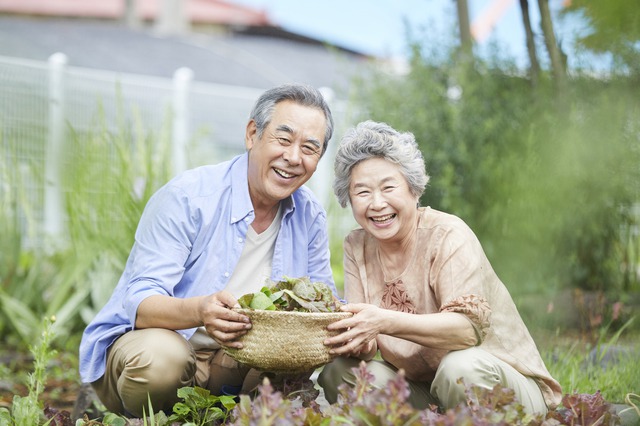 家庭菜園を楽しむ夫婦　お歳暮　年配　人気